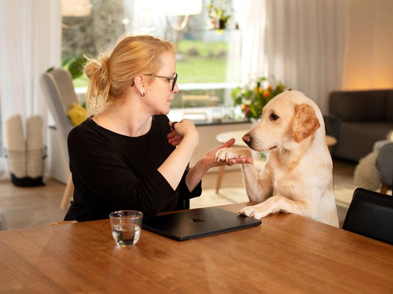 Donna che accarezza il cane in un appartamento